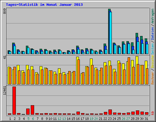 Tages-Statistik im Monat Januar 2013