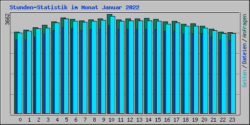 Stunden-Statistik im Monat Januar 2022