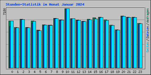 Stunden-Statistik im Monat Januar 2024