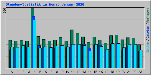 Stunden-Statistik im Monat Januar 2026