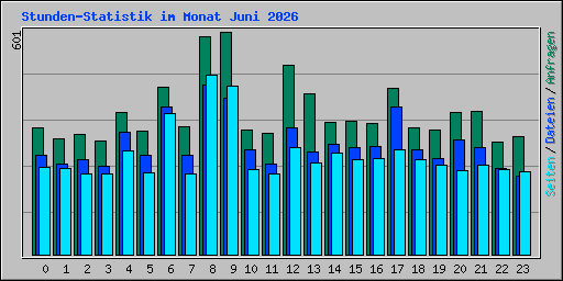 Stunden-Statistik im Monat Juni 2026