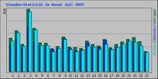 Stunden-Statistik im Monat Juli 2025
