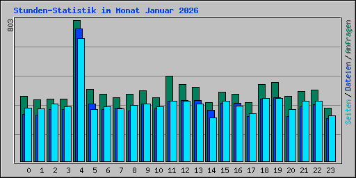 Stunden-Statistik im Monat Januar 2026