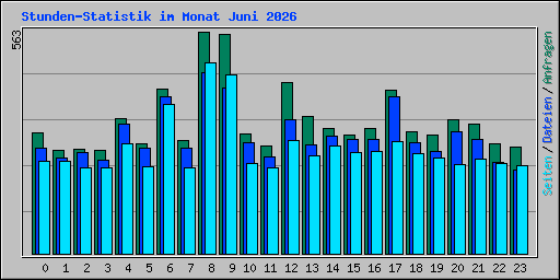 Stunden-Statistik im Monat Juni 2026
